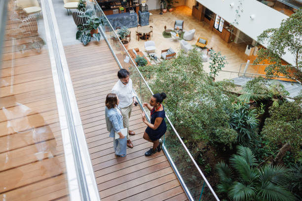 辦公室風水植物