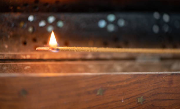 家裡出現小蜘蛛